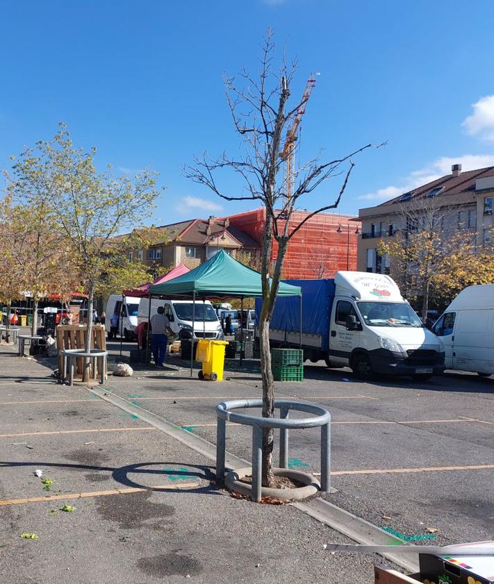 Imagen secundaria 2 - El mercado tradicional se estrena en San Pedro con problemas con los coches aparcados