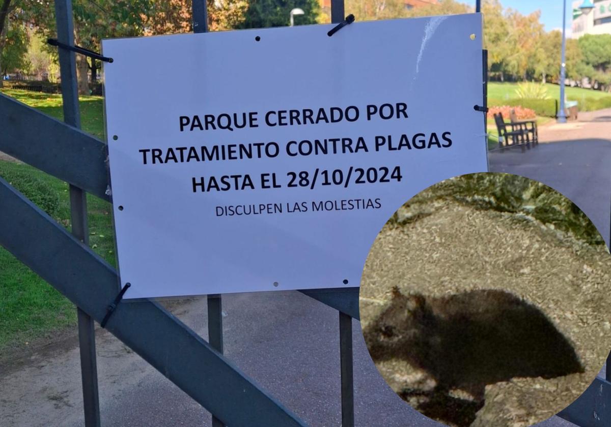 El parque de La Chantría cierra por las ratas: «Está invadido»