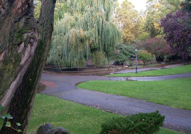 Interior del parque de Quevedo. 2024.