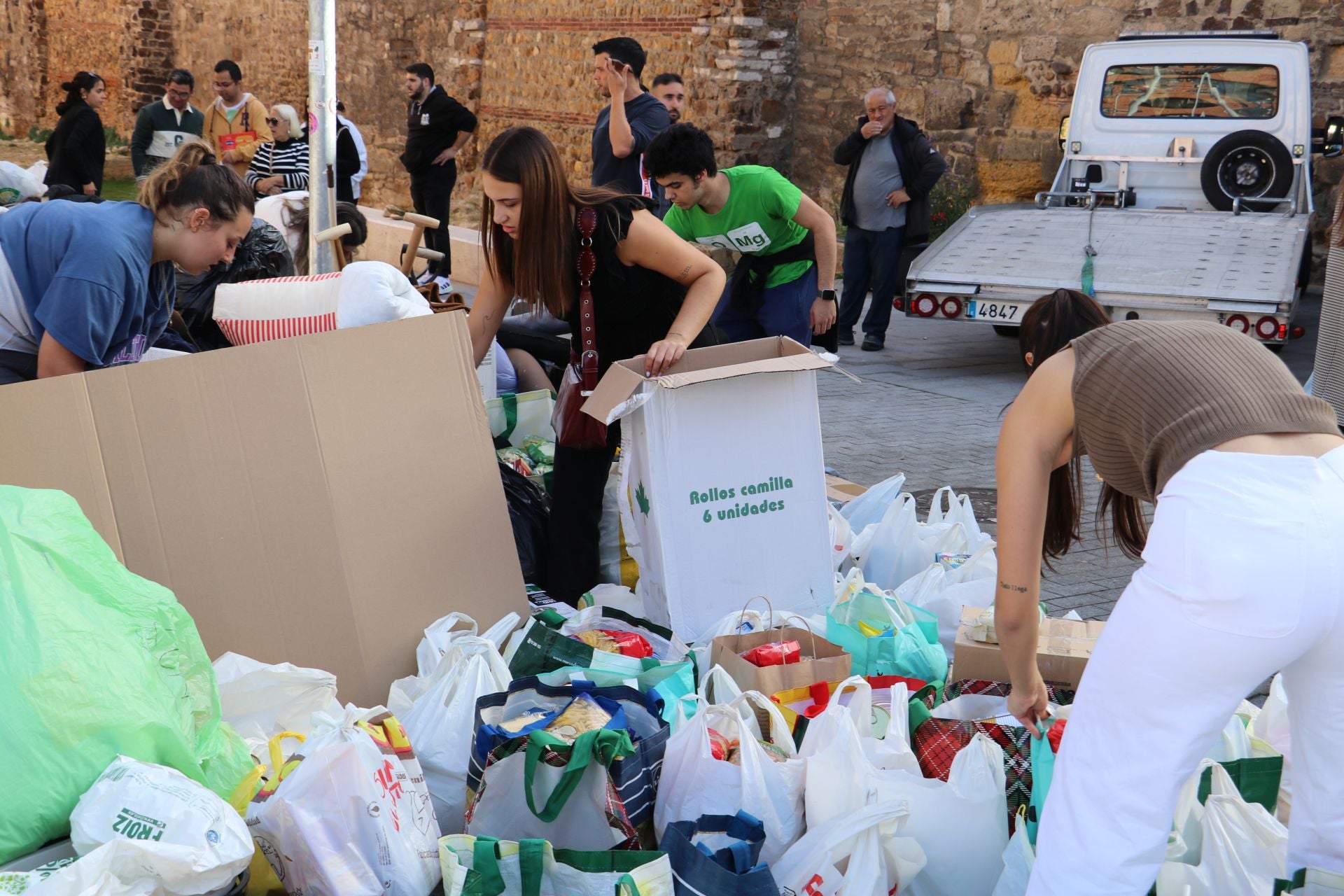 Recogida de alimentos y material en León