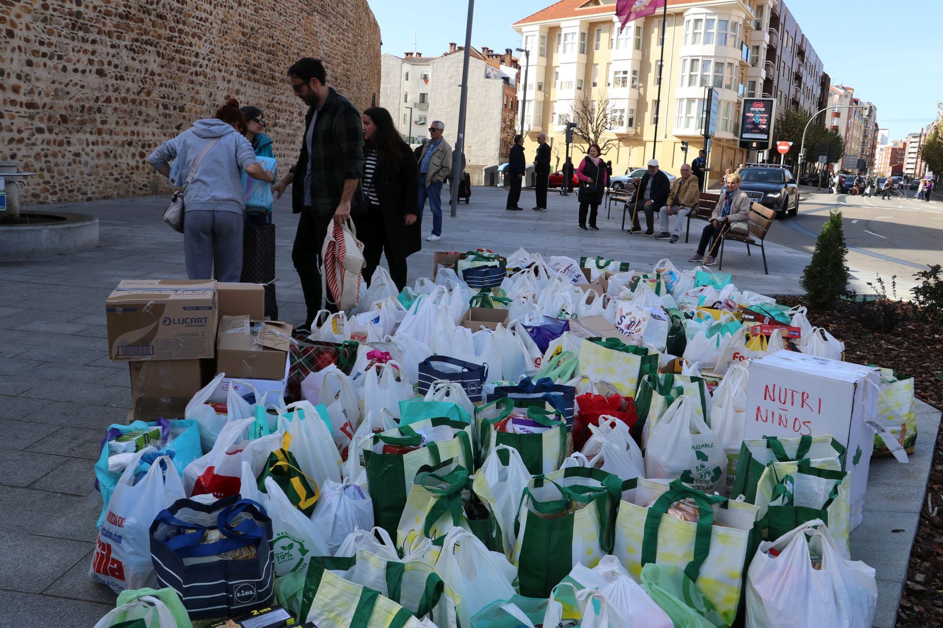 Recogida de alimentos y material en León