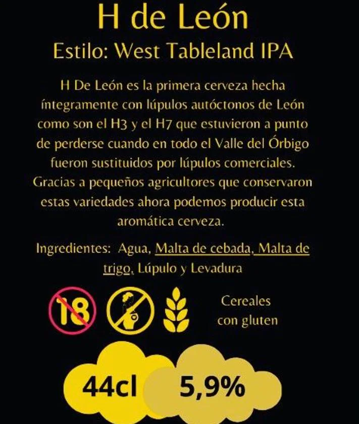 Secondary Image 2 - Sergio Perez and Carlos Sanz are the creators of this 100% natural hop beer.