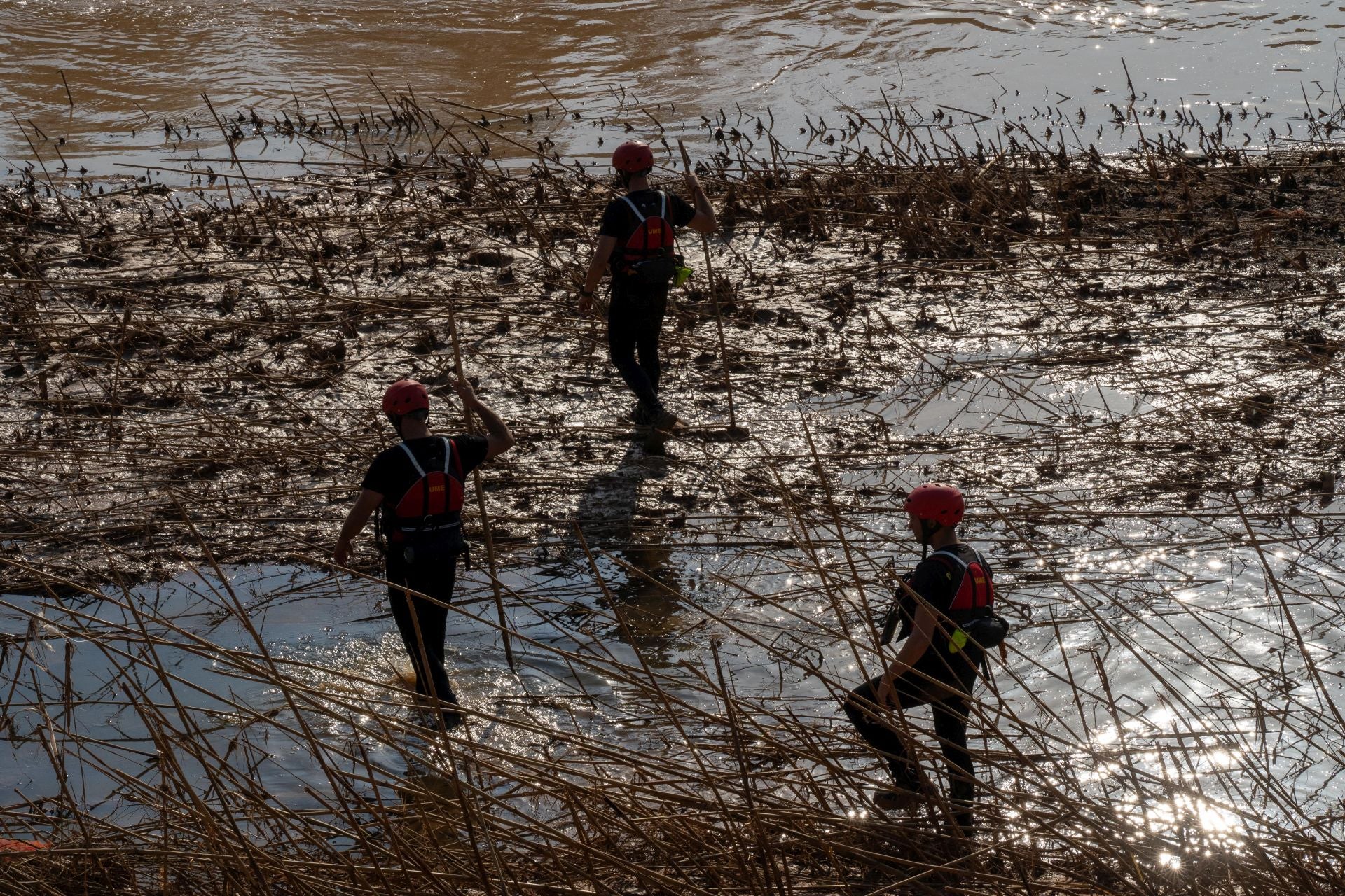 La UME rastrea La Albufera en busca de desaparecidos por la dana