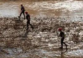 Trabajos de la UME en La Albufera.