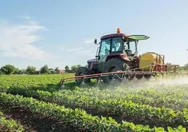 Agricultura en Castilla y León.