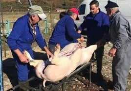 Imagen de una matanza en Carrizo de la Ribera.