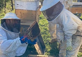 Alumnos del curso de iniciación a la apicultura celebrado en Pola de Gordon en mayo de este años durante las prácticas de campo que realizaron