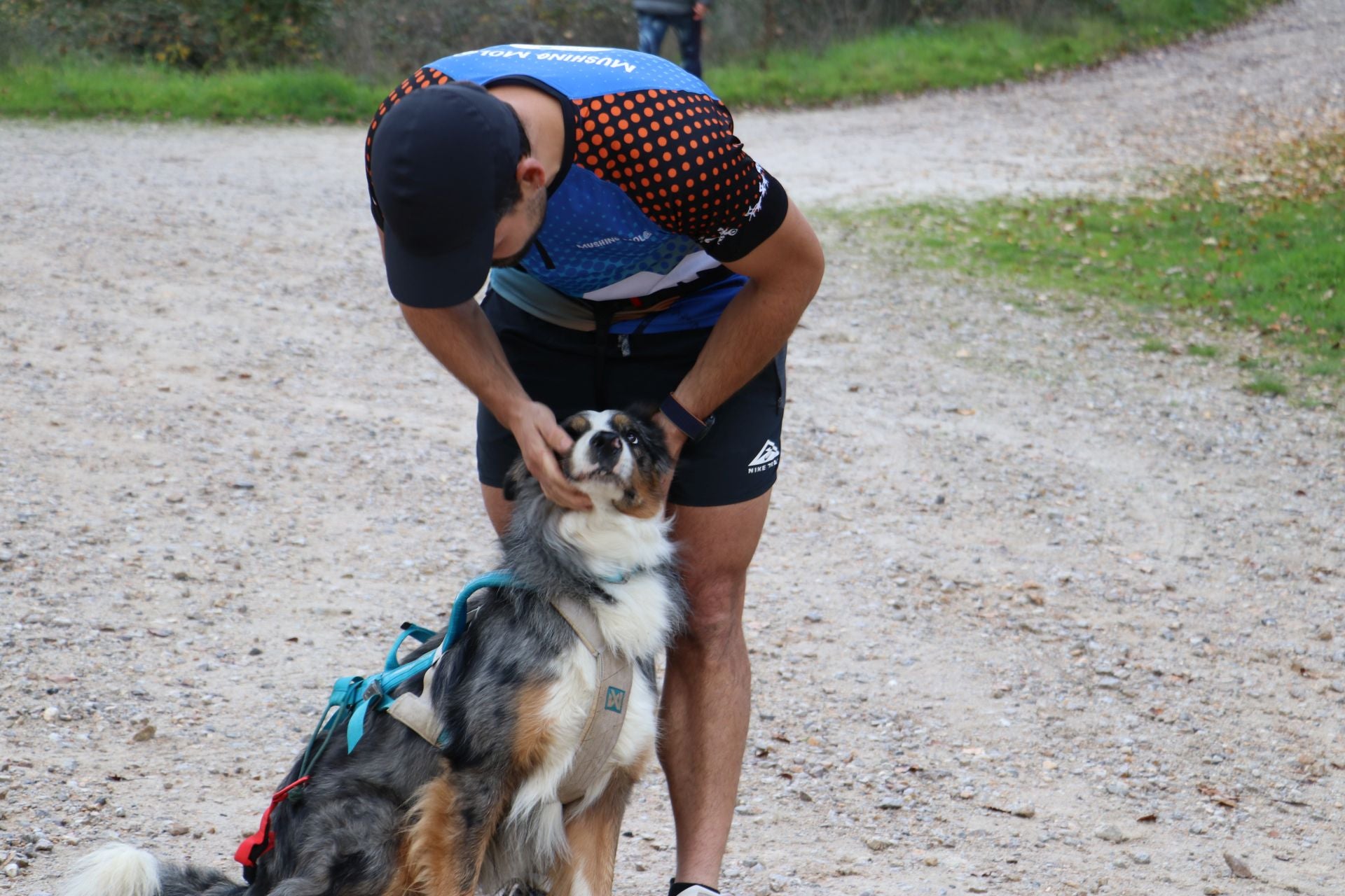 Entrenamiento de mushing en León