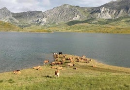 Fotografía del embalse de Casares