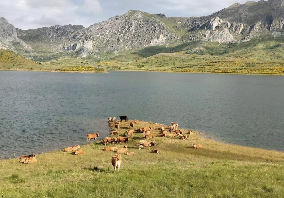 Fotografía del embalse de Casares