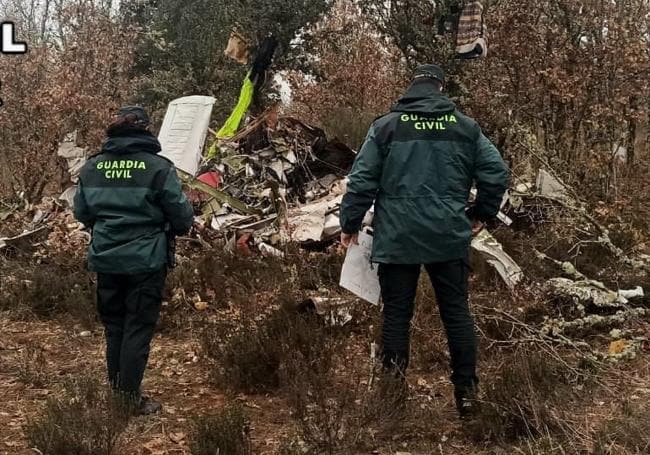 Miembros de la Guardia Civil junto a los restos de la avioneta siniestrada.