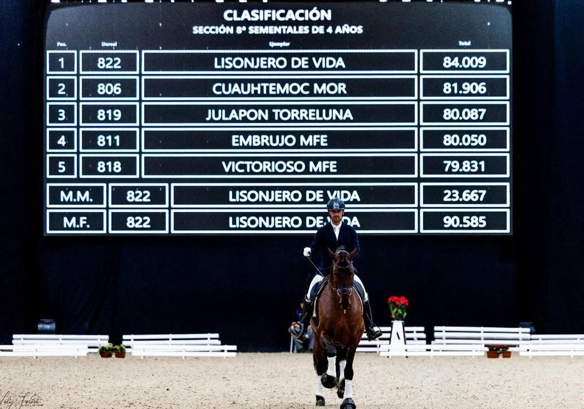 Imagen principal - Cinco premios internacionales a la nobleza de un pura raza español de León