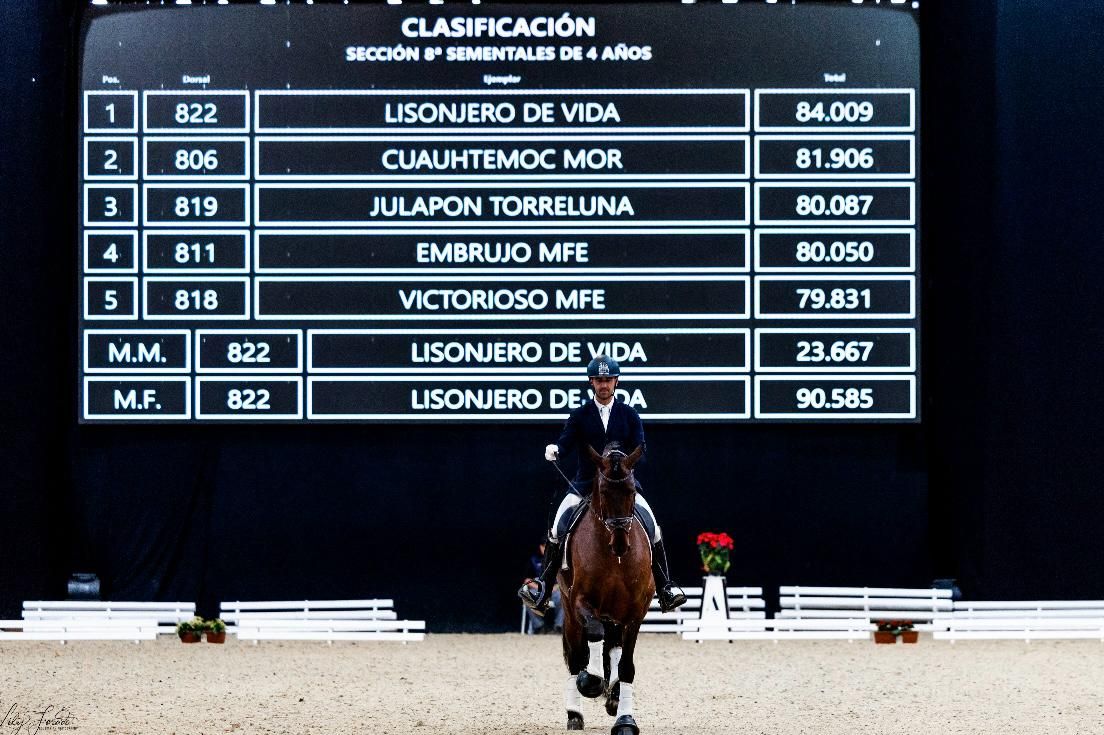 Lisonjero de Vida, un caballo leonés de premio