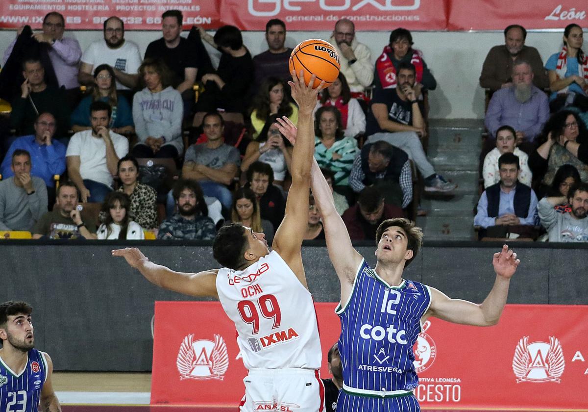 Las mejores imágenes del Cultural-Córdoba de baloncesto