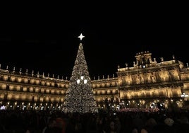 Árbol de Navidad de Salamanca.