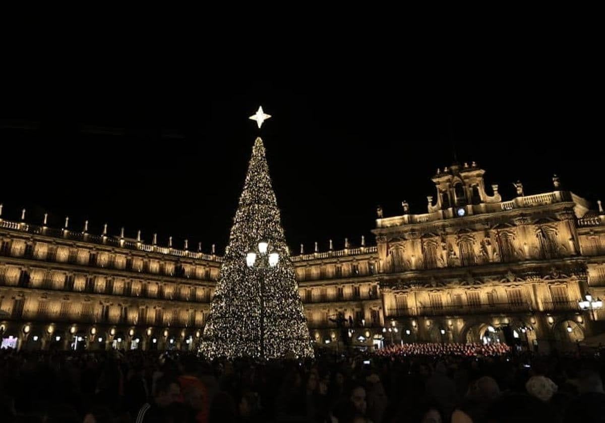 Identificados dos hombres tras subirse al árbol de Navidad de la Plaza Mayor de Salamanca