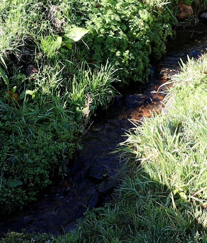 Imagen secundaria 2 - La montaña de León dice basta y reclama su agua perdida hacia Asturias: «El que rompe, paga»