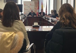 Cae levemente el número de mujeres víctimas de violencia de género hasta las 79
