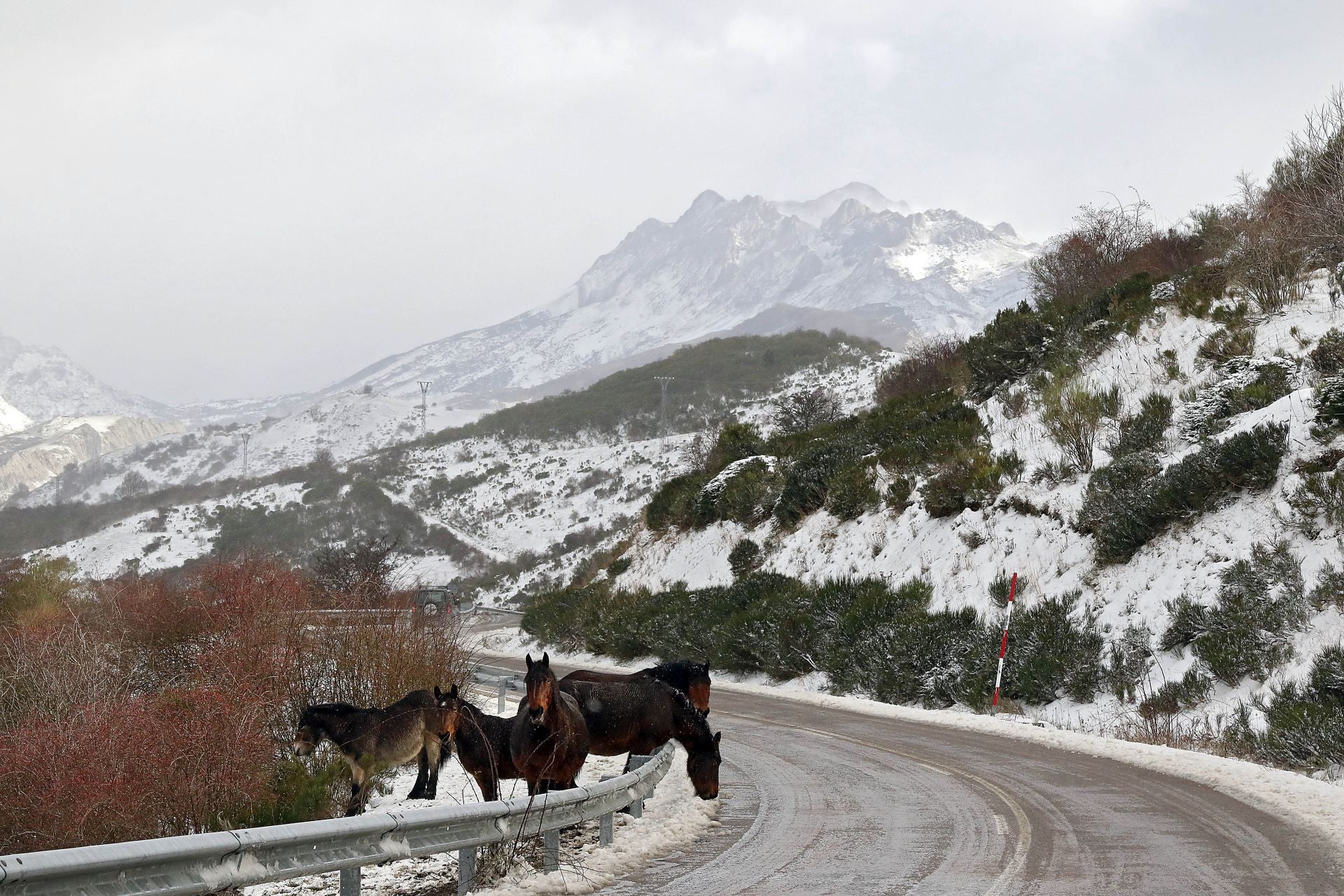 Temporal de nieve en la montaña leonesa