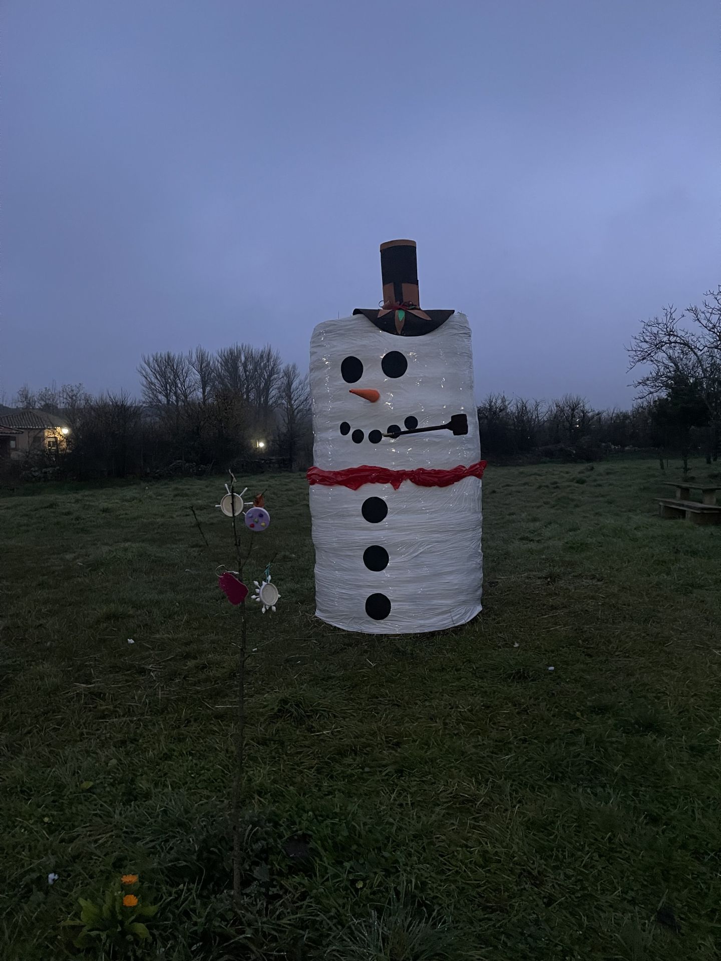 Muñeco de nieve hecho con una alpaca.