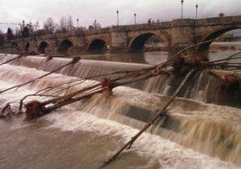 El río Bernesga a su paso por el puente de San Marcos de la capital leonesa arrastra árboles arrancados por la crecida del río.