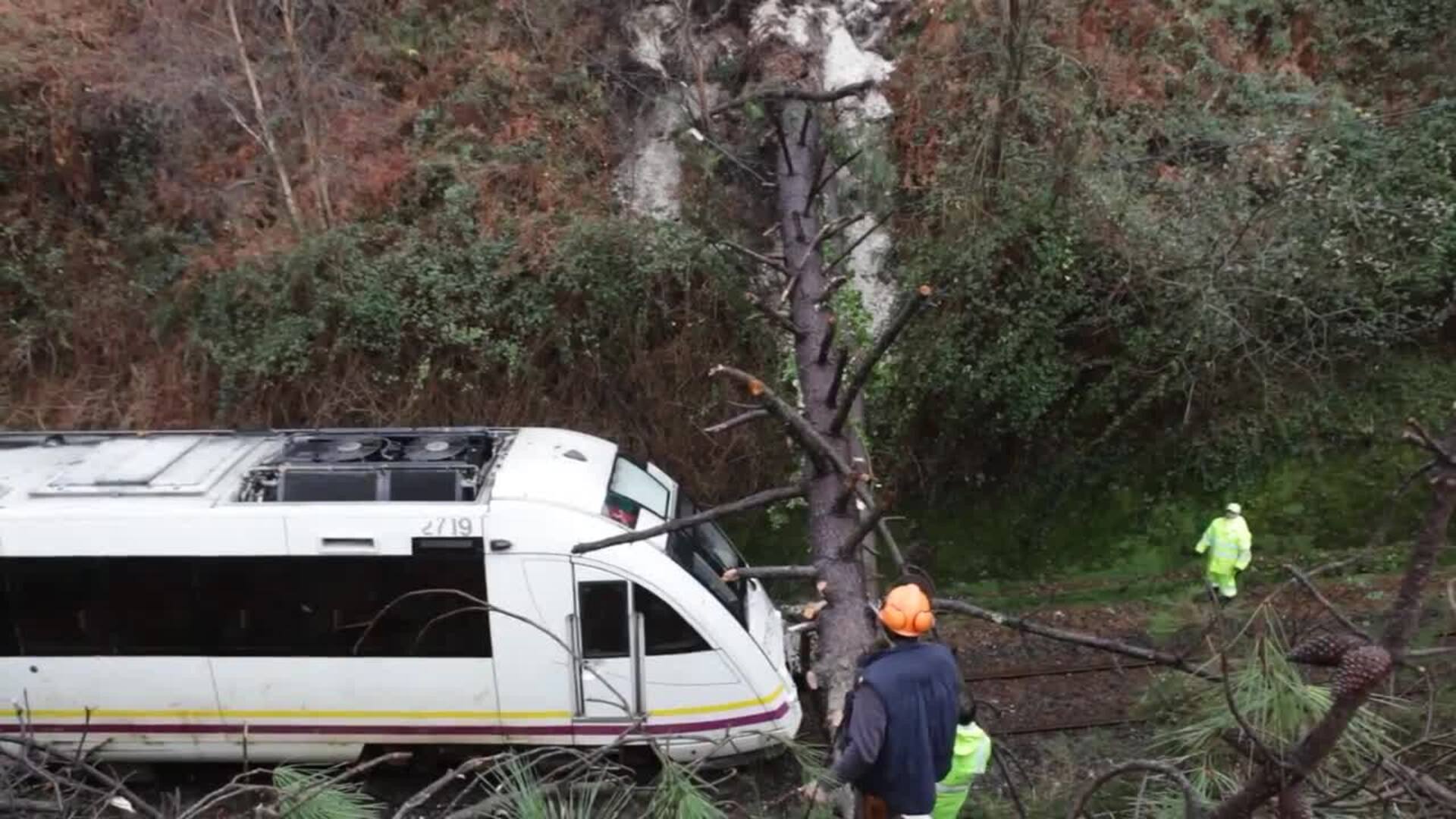 Un tren choca contra dos árboles durante su trayecto entre Ferroll y Oviedo
