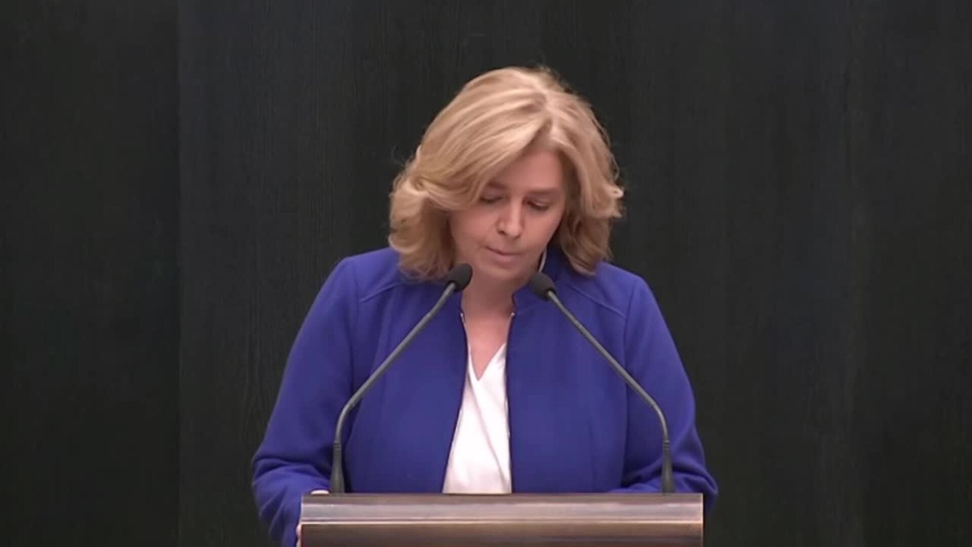 Sanz (PP) cree que Ortega 