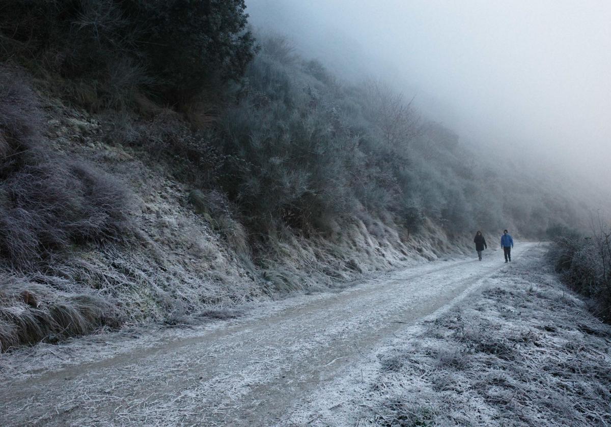 Helada en El Bierzo.