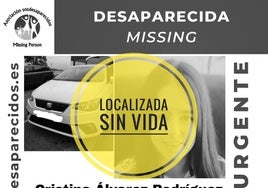Imagen de la alerta de búsqueda desactivada.