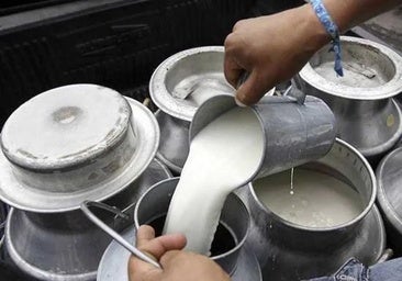 La cooperativa LAR cesa su actividad de recogida de leche en Omaña y Babia