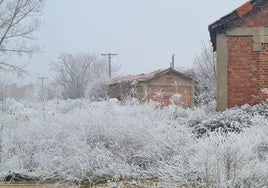 La cencellada, en un paraje de la ciudad de León.