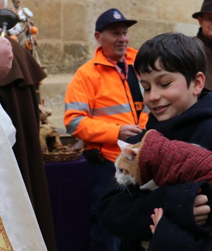 Imagen secundaria 2 - Conejos y gatos también fueron bendecidos.