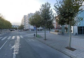 Paso de cebra en Reyes Leoneses.