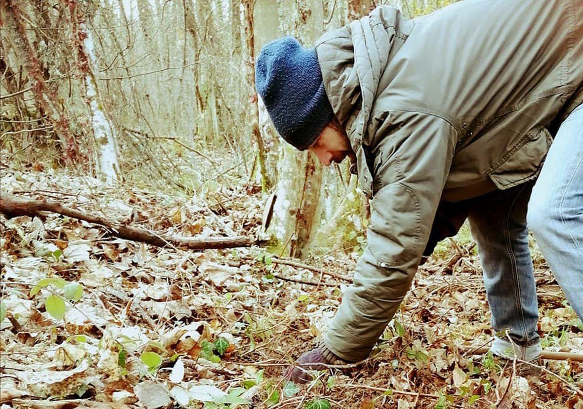 Un voluntario durante la limpieza y plantación en un bosque de León.