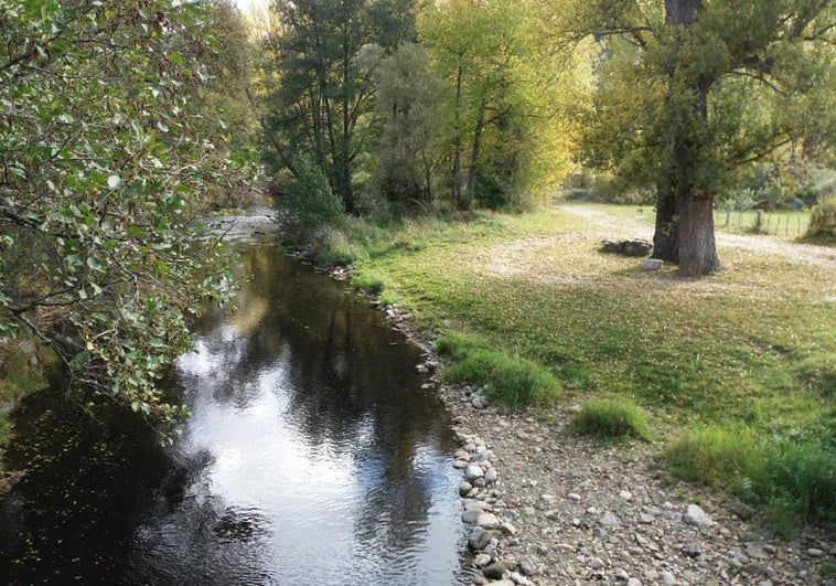 La Universidad de León se suma al proyecto Agrofores que estudia alternativas de conservación del paisaje