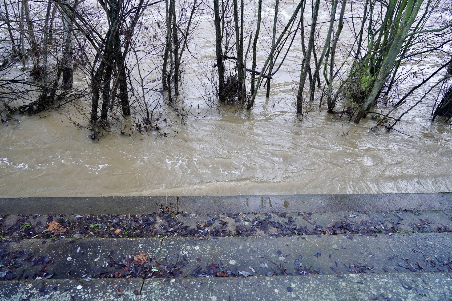 Las imágenes de la crecida del río Bernesga a su paso por León
