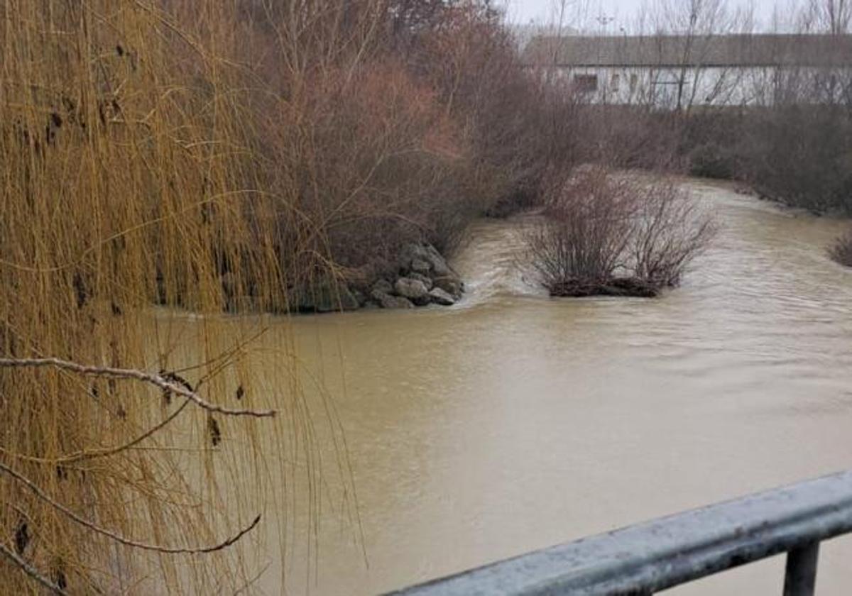 Río Cea a su paso por Sahagún