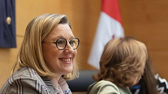 Simplifican el procedimiento administrativo del título familia numerosa en Castilla y León