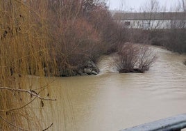 Río Cea a su paso por Sahagún