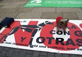 Decenas de personas se concentraron en San Marcos y en la plaza de Regla para reclamar una mayor protección a los perros de caza y pusieron como ejemplo el caso de la perra Katana