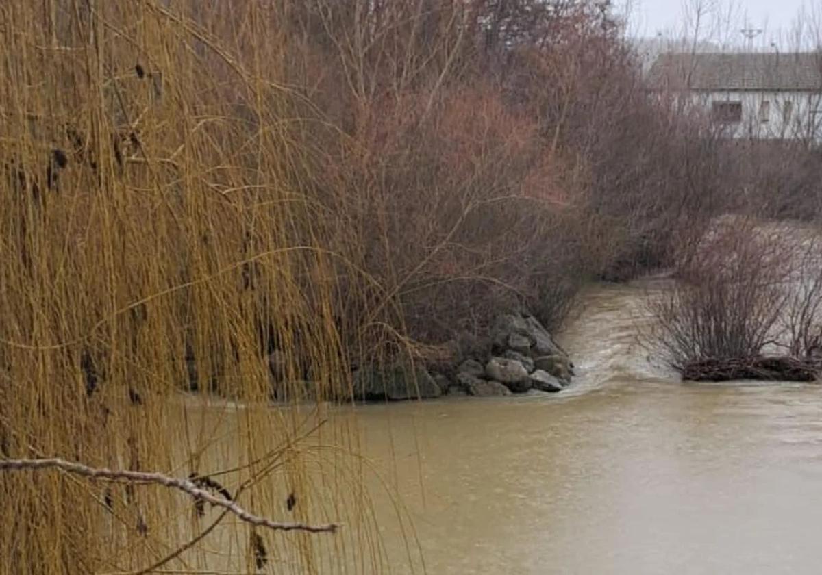 Río Cea a su paso por Sahagún.