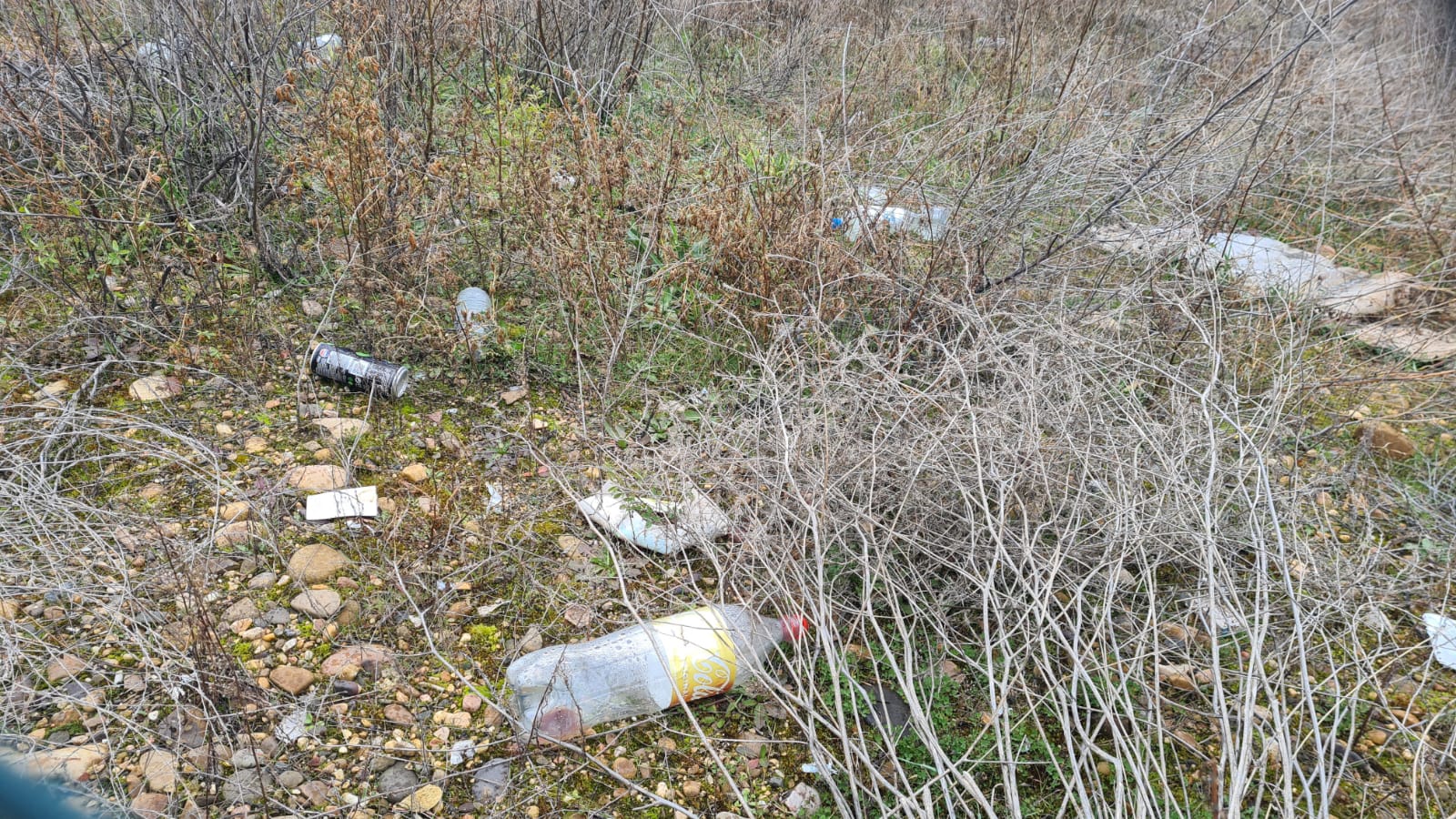 Basura acumulada junto a la estación de trenes