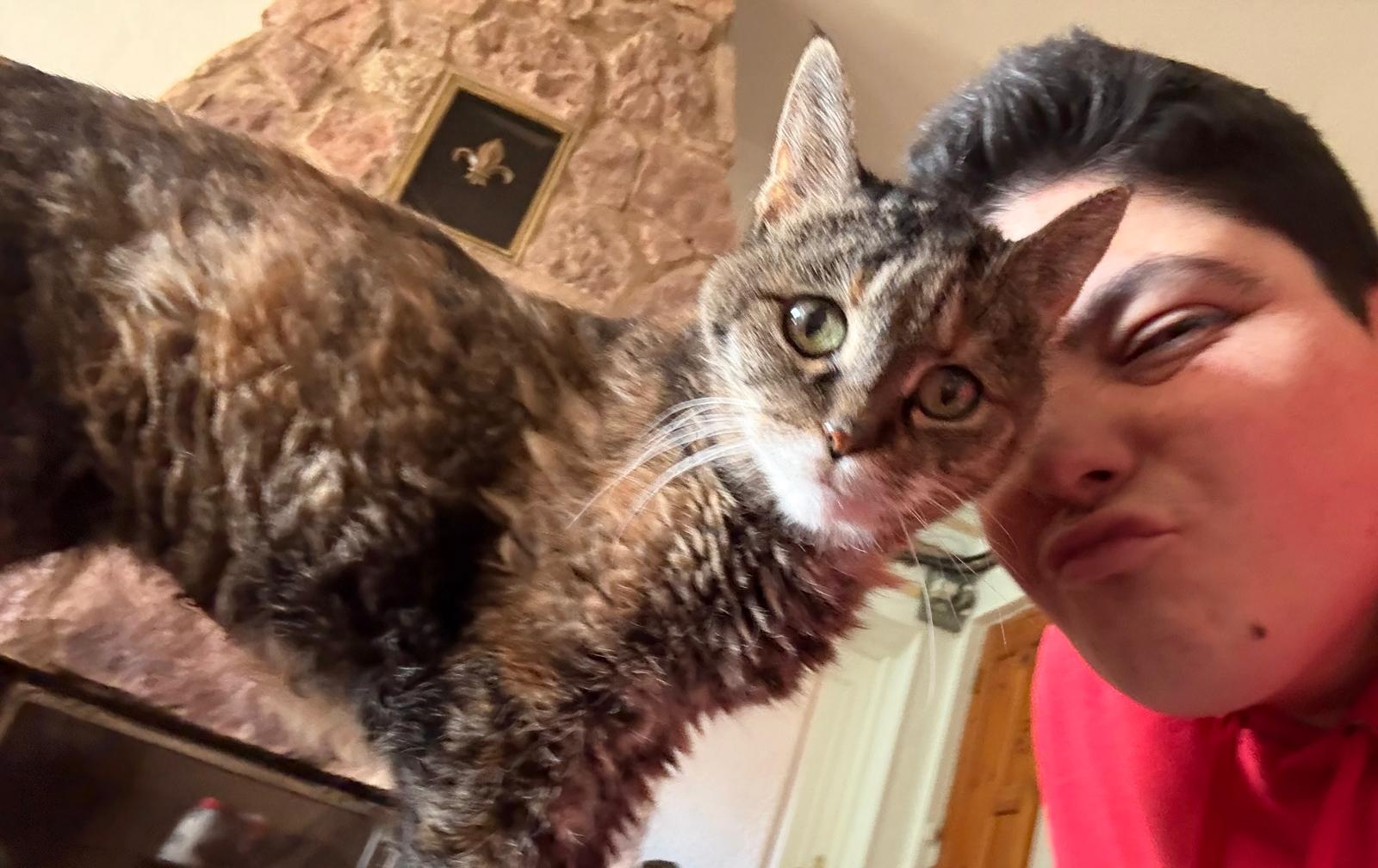 Mine, este precioso gatito atrigrado ya tiene 17 años y con María nos manda esta imagen desde Villadangos del Páramo.