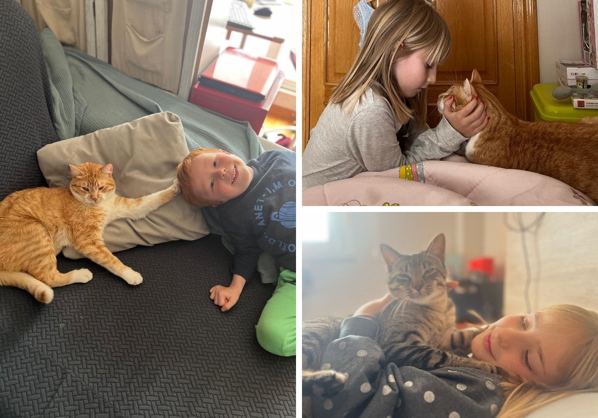 Pablo y Almu se lo pasan genial cuidando de sus dos gatos Nino y Santi y la verdad que tanto amor deja unas fotos preciosas.