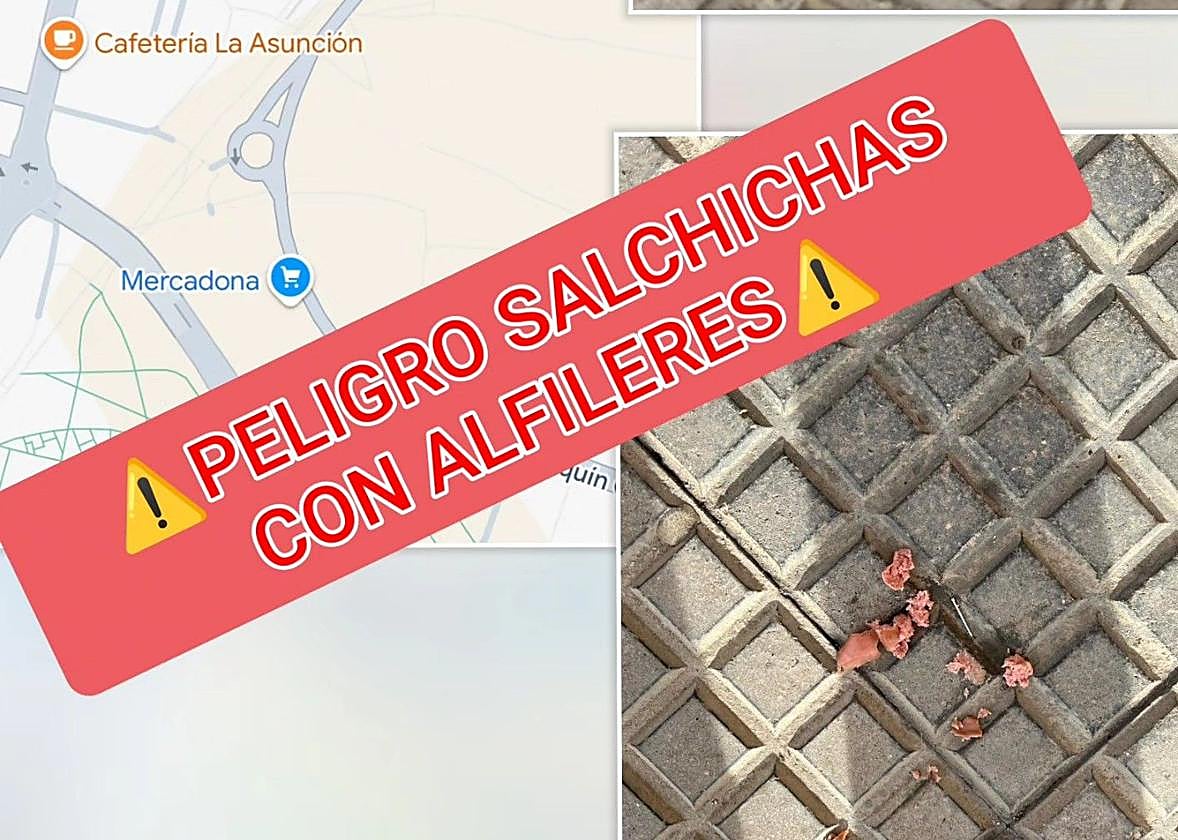 Salchicas con alfileres en una imagen compartida por la protectora en sus redes.