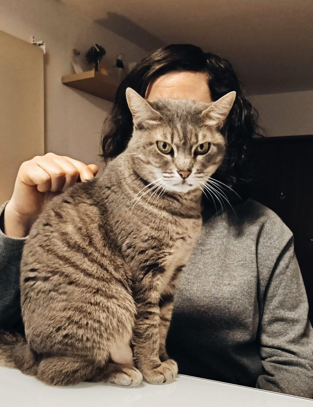 Pelusa cumplió 10 años en octubre y aunque parezca que tiene cara de enfadada es todo un amor.