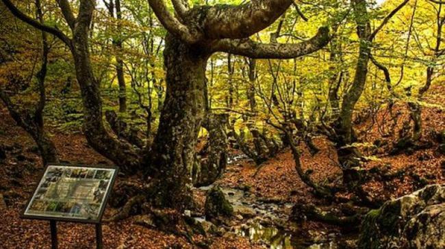 León es el territorio del mundo que más Reserva de la Biosfera tiene pero ¿cuántas son?