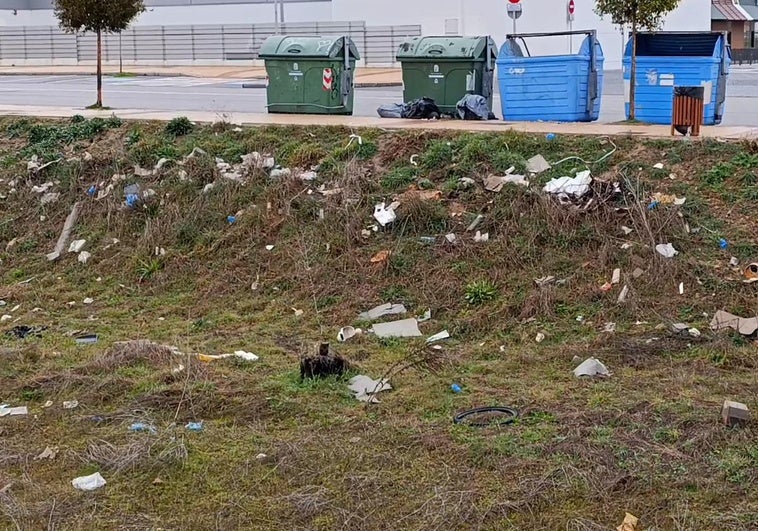 Ratas en la zona del área comercial Reino de León.