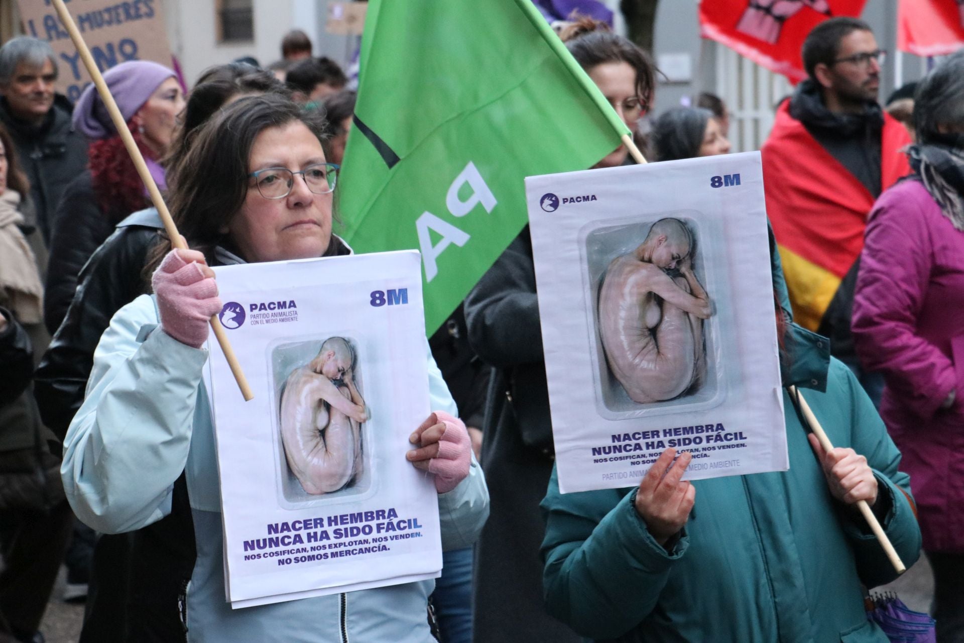 Las imágenes de la segunda manifestación por el 8M en León