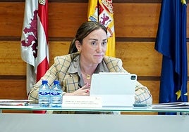 La consejera de Agricultura, Ganadería y Desarrollo Rural, María González Corral, informa sobre el contenido de la reunión del Consejo Agrario de Castilla y León.